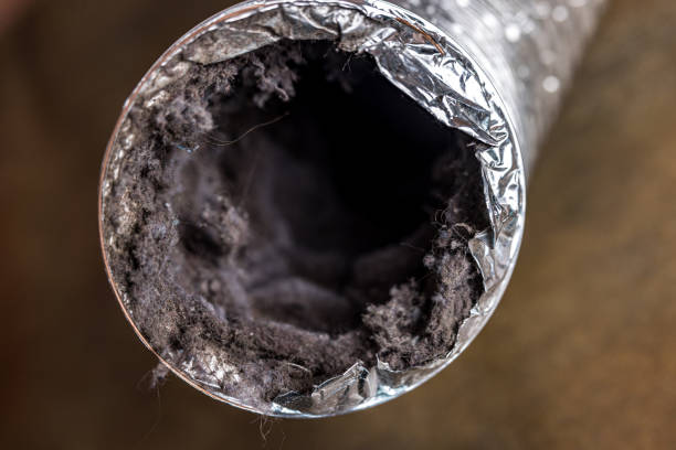 Best Air Duct Cleaning Near Me  in Springfield, SD