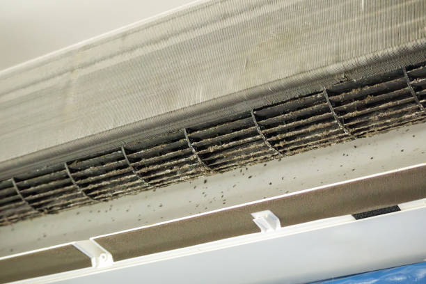 Best Local Air Duct Cleaning Services  in Springfield, SD
